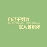 虫儿飞viva