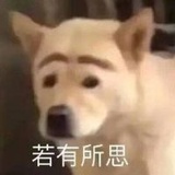喵喵喵