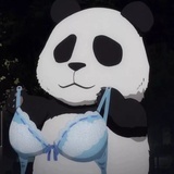 偷窥小熊猫