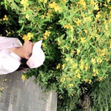 馨语sunshine