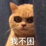 风味辣子鸡