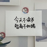 理性的娜娜美