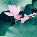 一丁