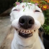 笑炸开的大嘴