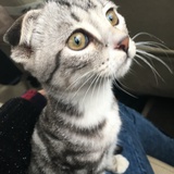 kiara