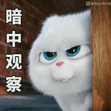 暗中观察