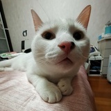 你瞅啥