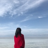 煎香菜的松鼠