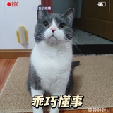 Rui啊