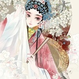 杂七杂八，推文