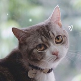 salala✧