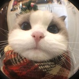 水果督导