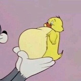 林嘚喔