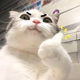 圈子