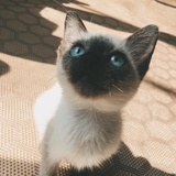 水野