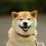 佳音
