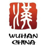 搜奇武汉