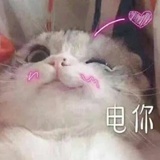 泡芙