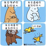 茕茕白兔