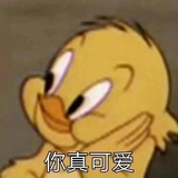   
