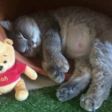。