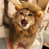 路丶