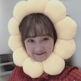何盒子