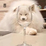 洋