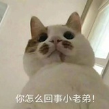 滚来滚去天雷滚
