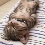 咦