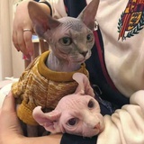 没伞伞的孩子