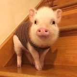 混合式生活