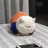 加爷爷