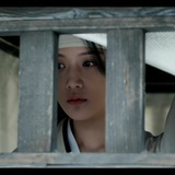 何昭君(已黑化)