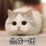 清风驻怀
