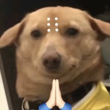 啦啦啦