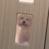 想撸串的n+1天