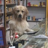 一名普通的村民