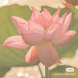 今天是个好日子