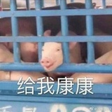 不打酱油打芥末