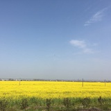 熊俊