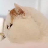 那个谁