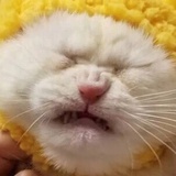 滋噜