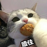 嘻嘻嘻嘻