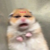 无昵称