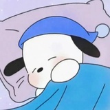 鲨鱼辣椒会有水