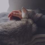暖