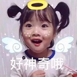 蛋蛋爱吃瓜