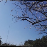 含希儿