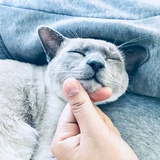 老三